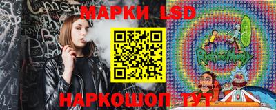 spice Обнинск